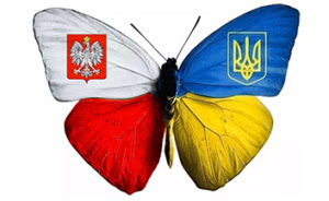 иммиграция в Польшу фото 4